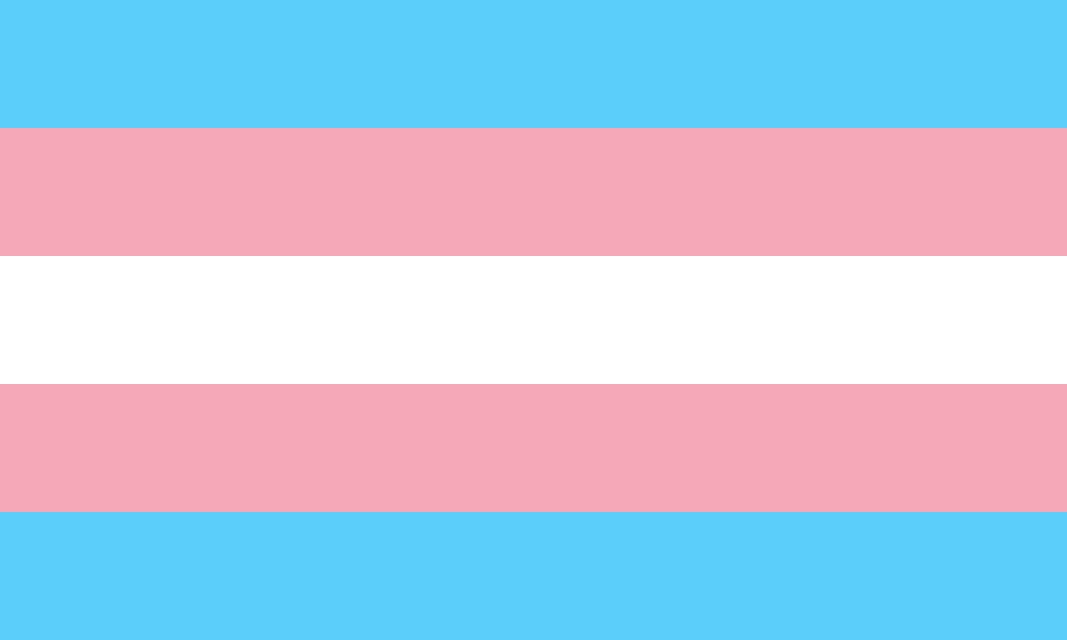 Tansgender Pride vlag